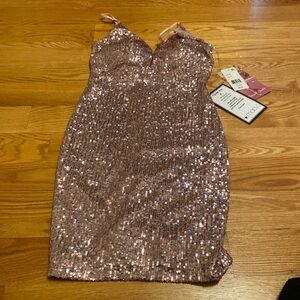 NWT size small mauve sequin dress
